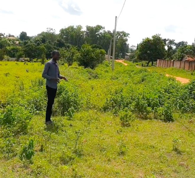 Des parcelles morcelées à vendre à Abomey Calavi Ouedo au Bénin 1