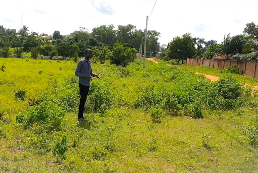 Des parcelles morcelées à vendre à Abomey Calavi Ouedo au Bénin 1