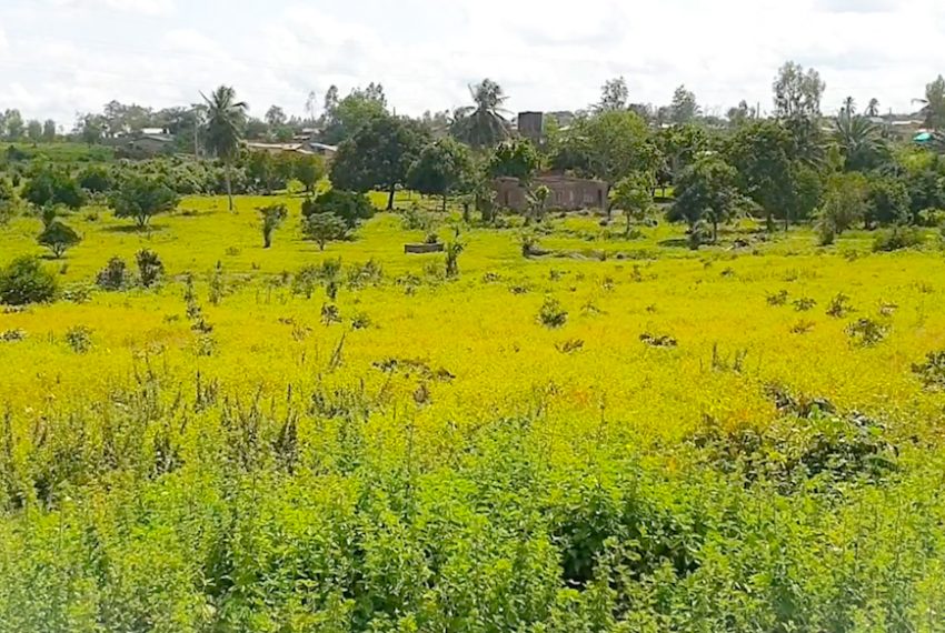Des parcelles morcelées à vendre à Abomey Calavi Ouedo au Bénin 2