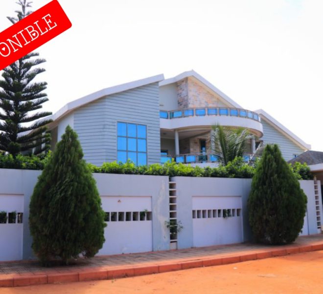 Polish_20250908_110302962