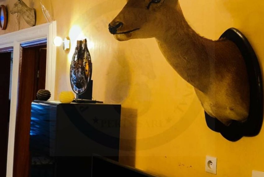 Villa meublée à louer à Zopah Calavi, pavé Kérékou 5