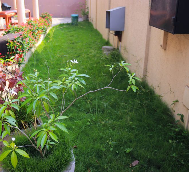 Villa à vendre à Sikècodji à Cotonou au Bénin 1