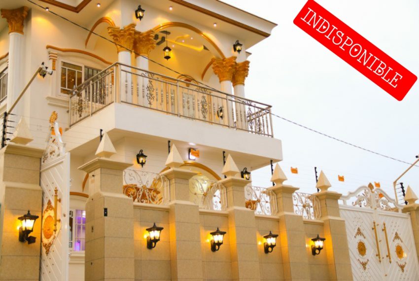 Polish_20250908_110021243